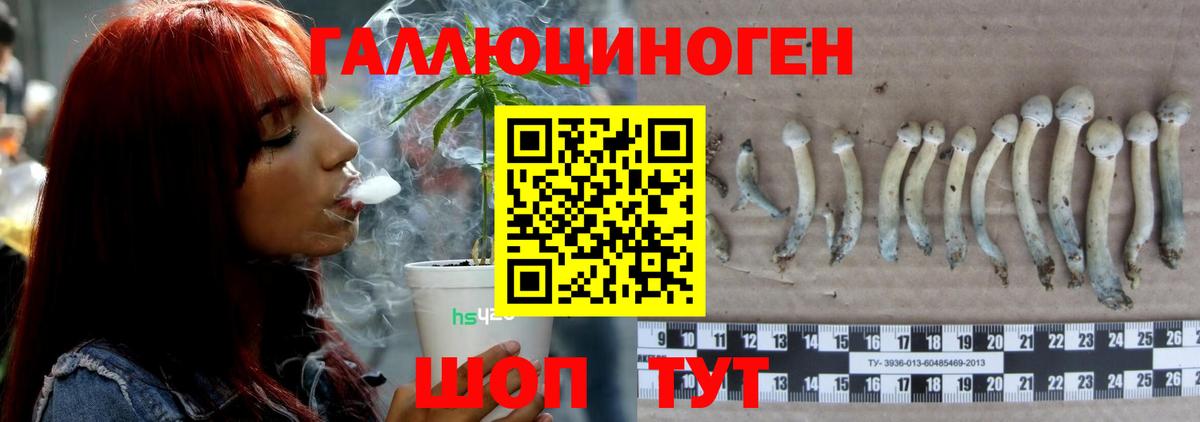 Галлюциногенные грибы Psilocybine cubensis  Вход с VPN  Татарск 